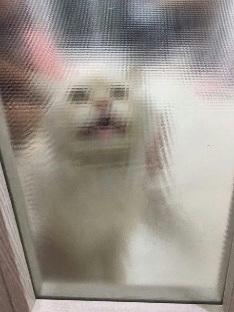 감쟈맘 프로필
