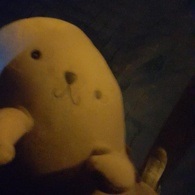 푸딩푸링 프로필