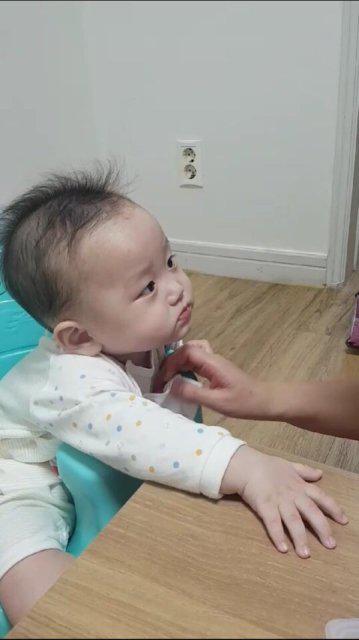안옹심 프로필