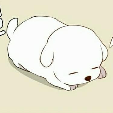 히튼 프로필