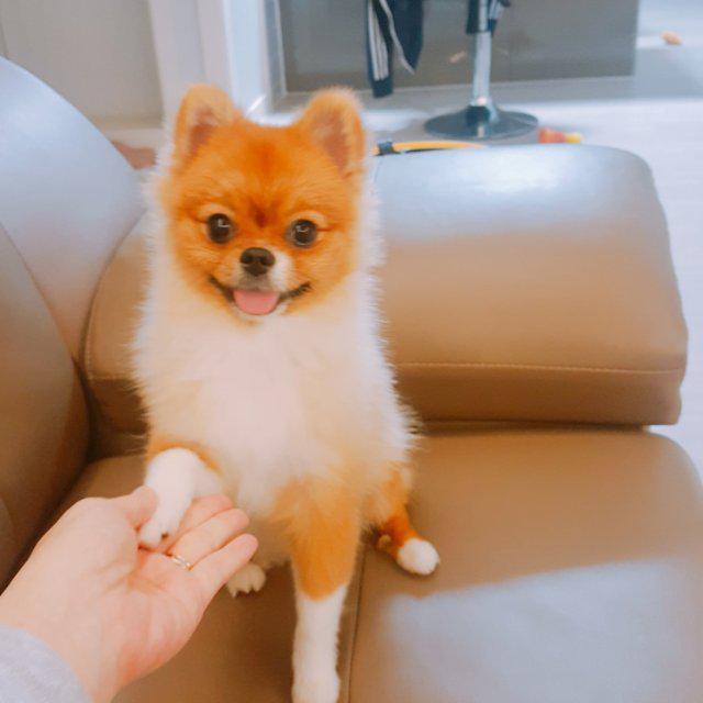 로제레오 프로필