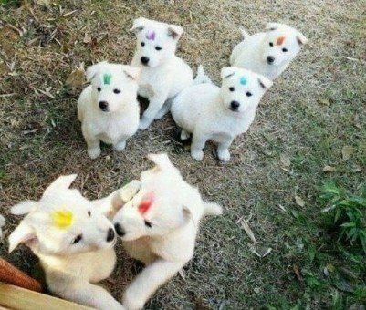 이지춘 프로필