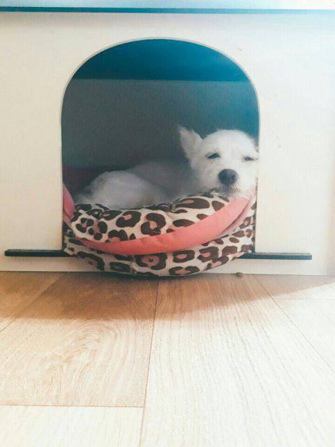 배고파63 프로필