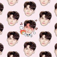 워너ㅂㅡㄹ 프로필