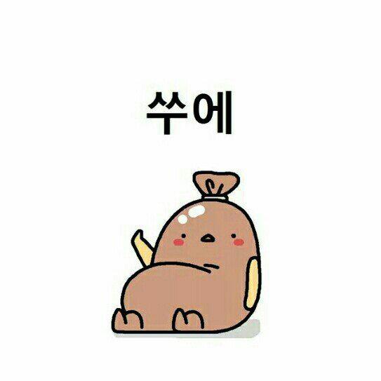 솜당송 프로필