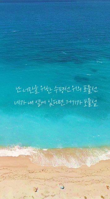 찹쌀떡토끼 프로필