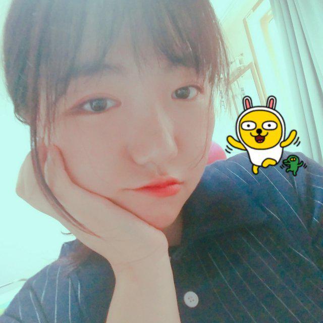 피디아 프로필
