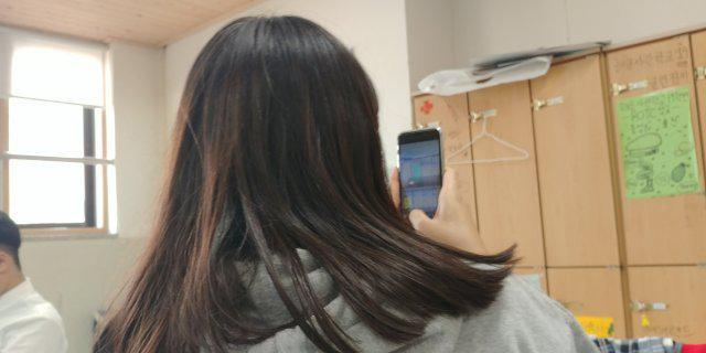 최세 프로필