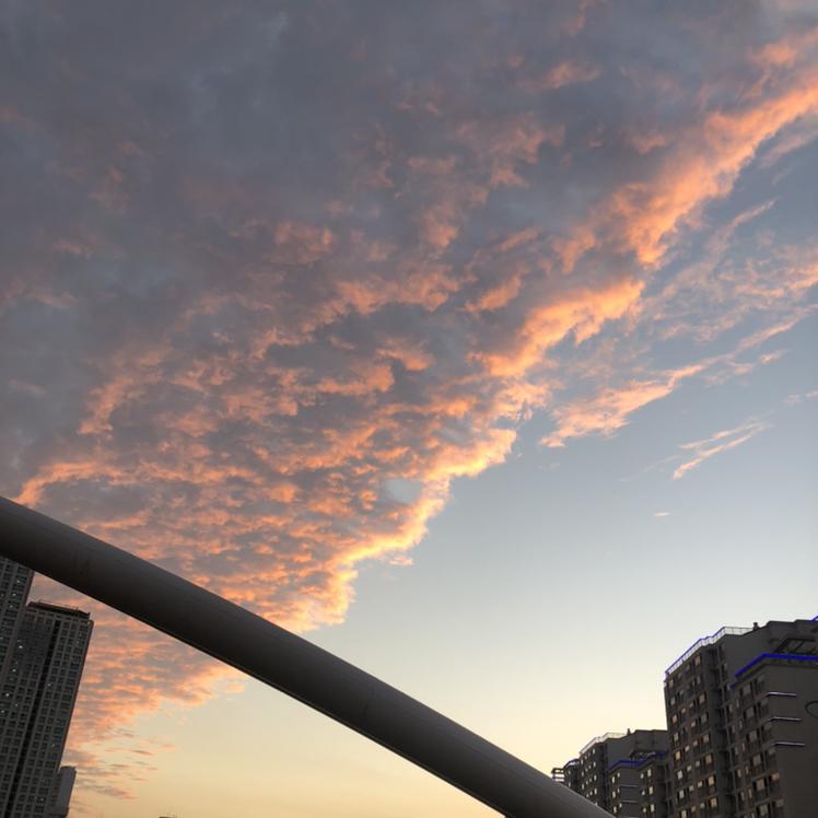 뭉동디 프로필