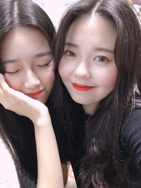 Qling 프로필
