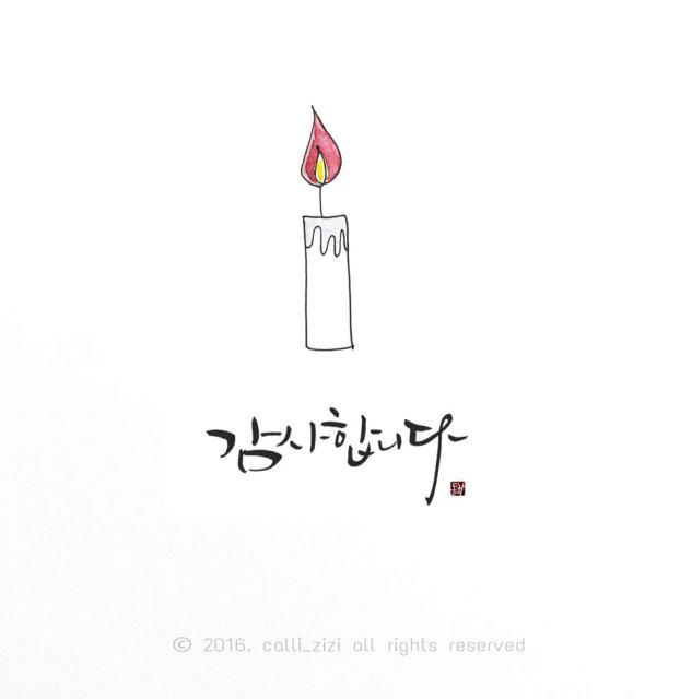최애화 프로필