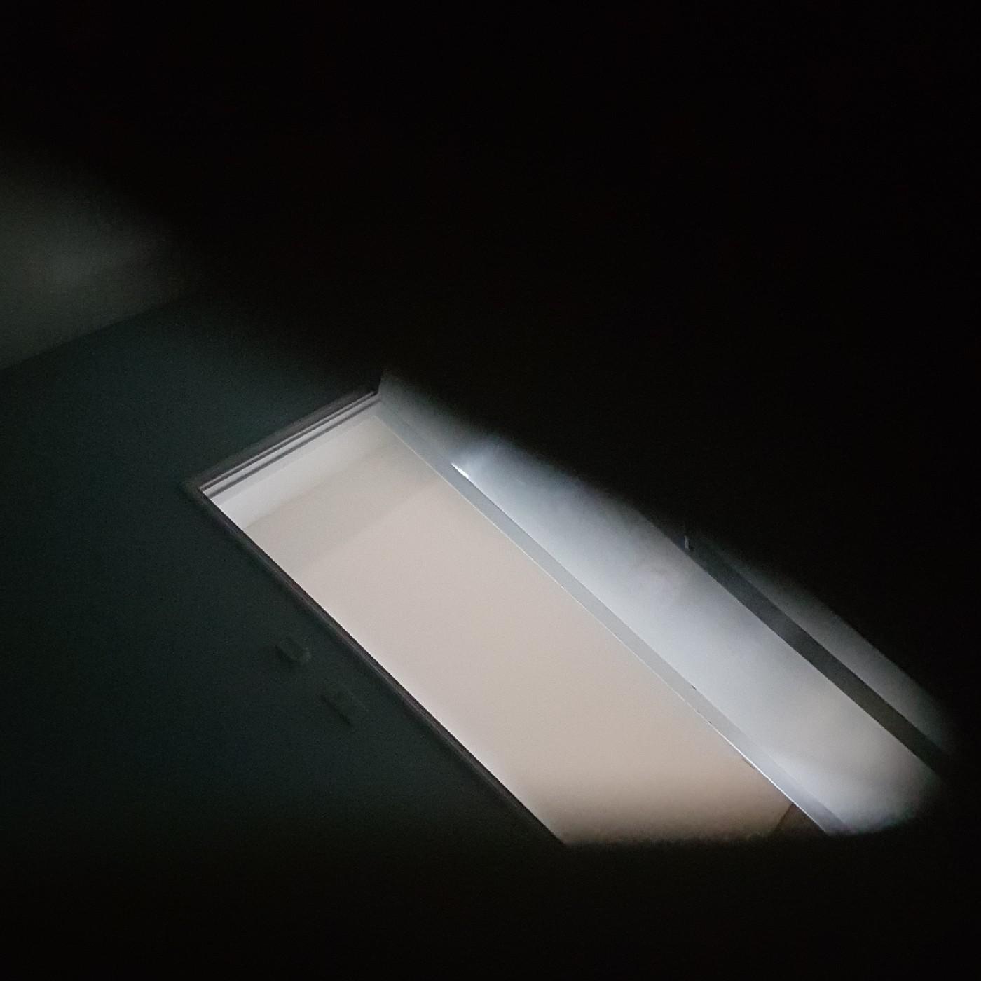 띠이드리 프로필