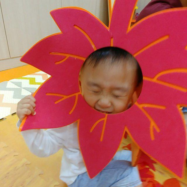 서우맘은댕님 프로필