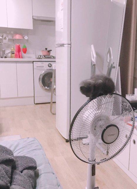 리뷰어 프로필