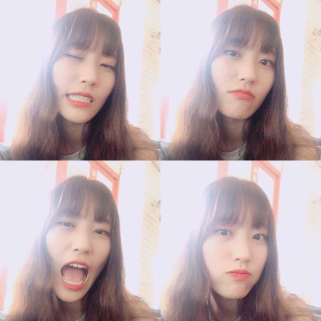 리치치차차추추 프로필