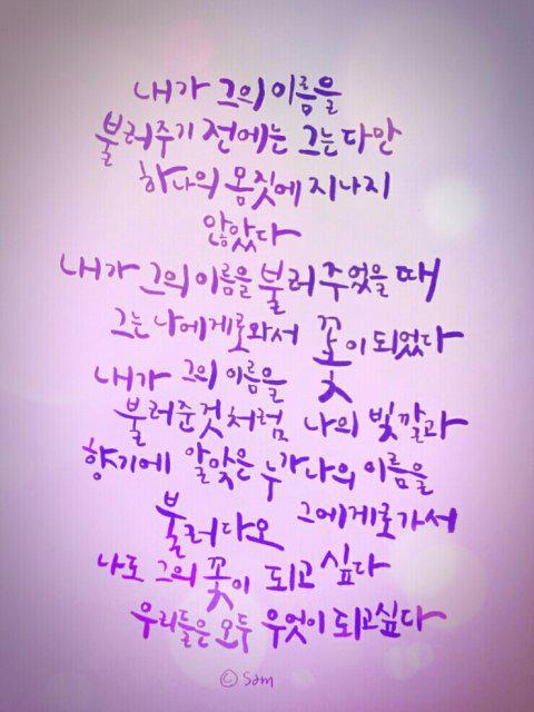허브소녀 프로필