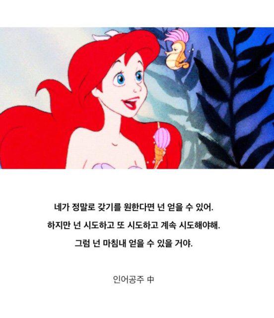 M8 프로필