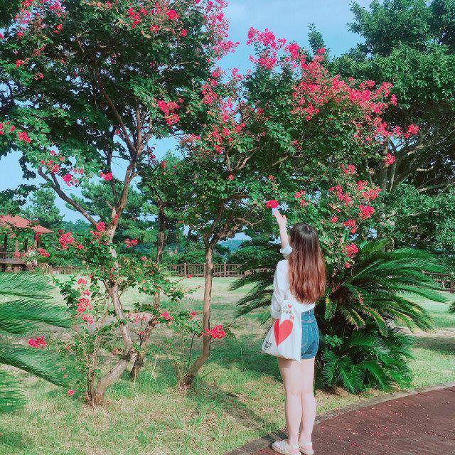 쿠쿠쿠쿠쿠당 프로필