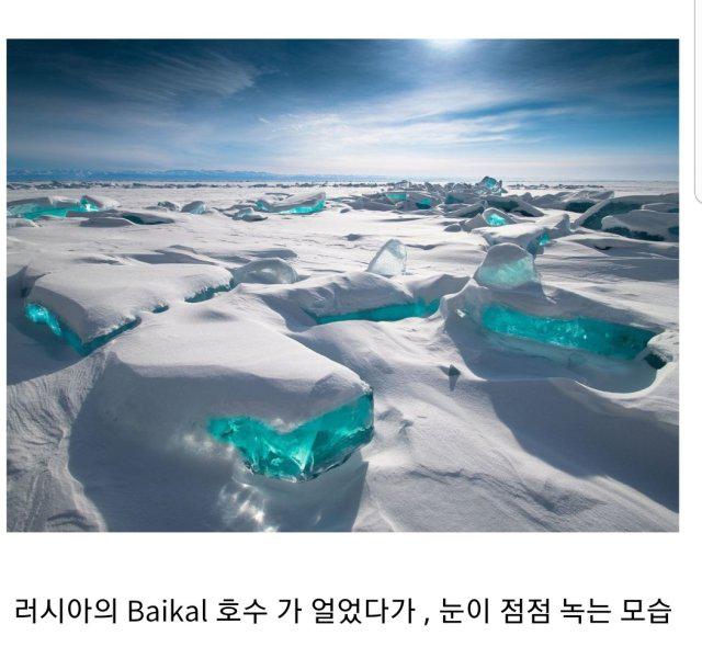 네오케이 프로필