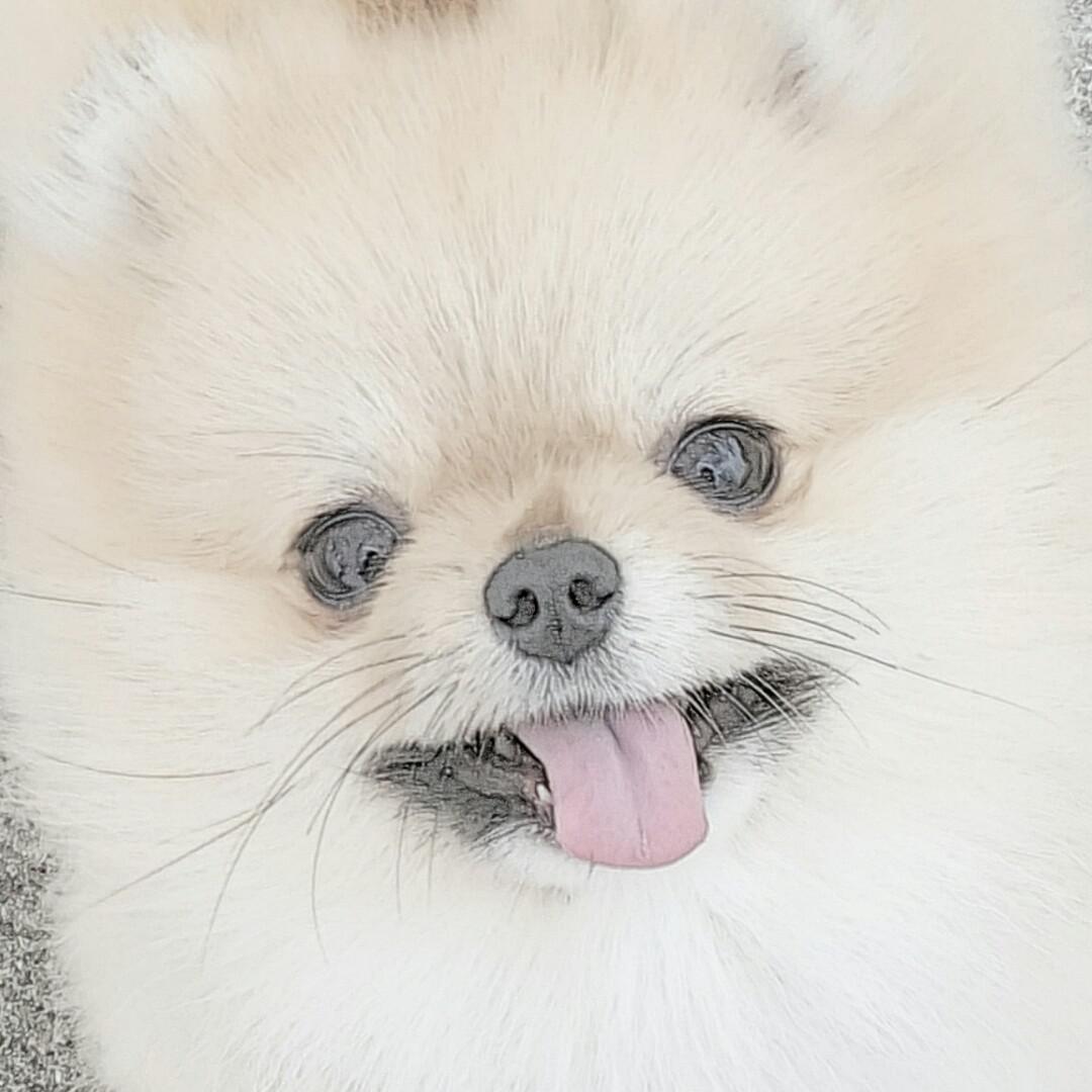 도시녀이고픈 프로필