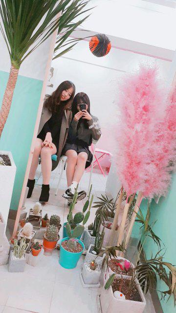 dadorable 프로필