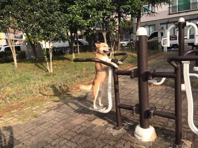 정이짱 프로필