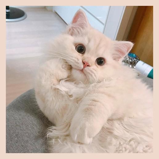parksy123 프로필