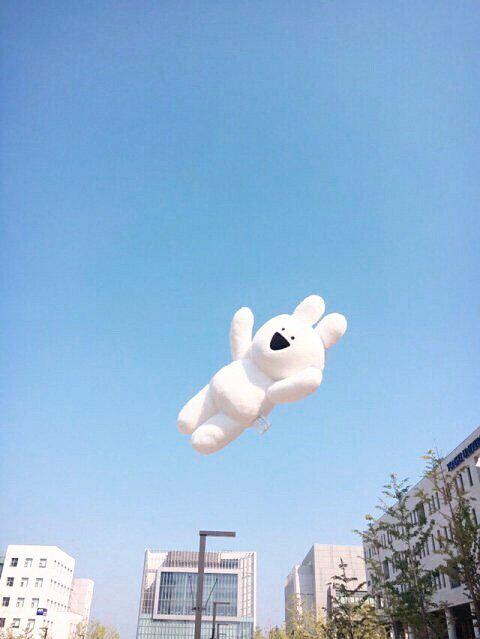쎄린닌 프로필