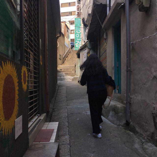 브루벨 프로필