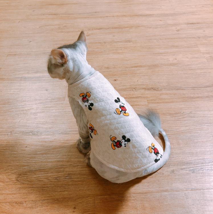 몌몌몌 프로필