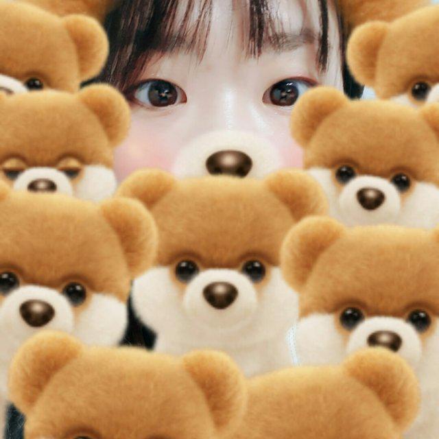 이나무 프로필