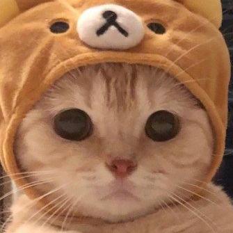 리뷰어 프로필