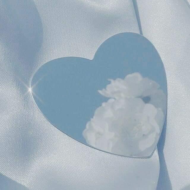 나의라임오지는현지 프로필