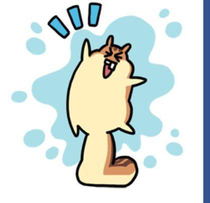 토토로뚱 프로필