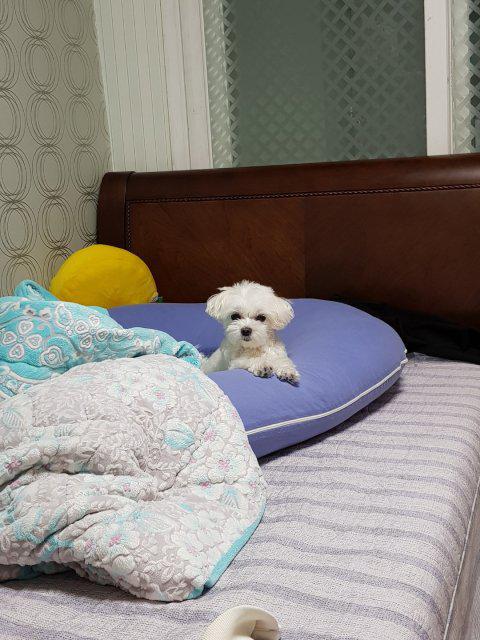 엉버 프로필
