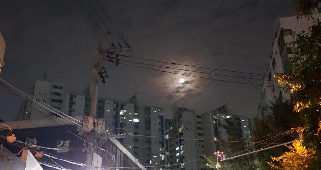 구이92 프로필