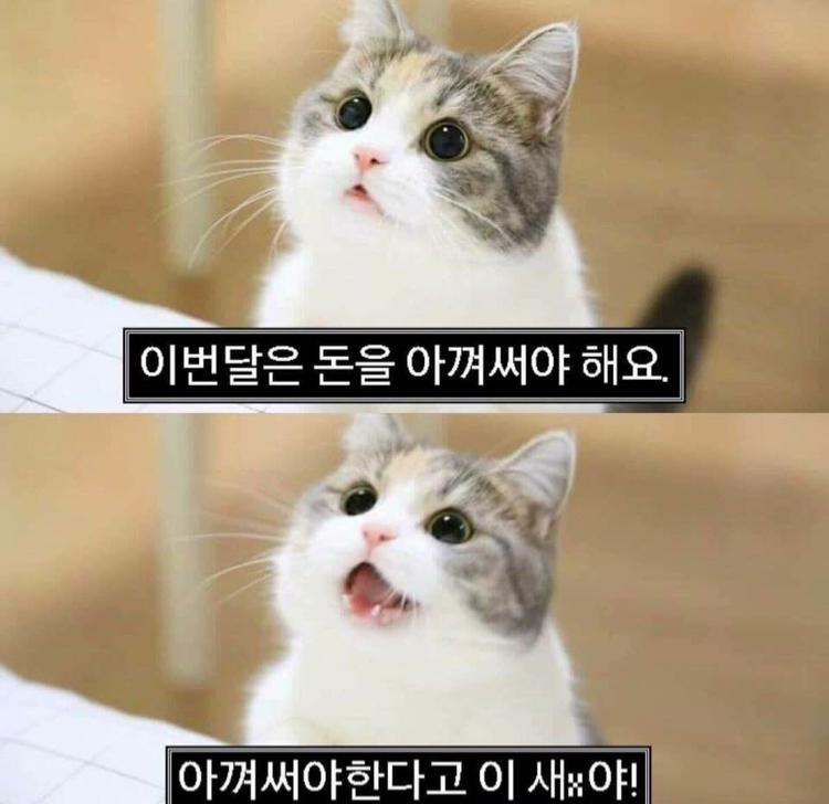 리뷰어 프로필