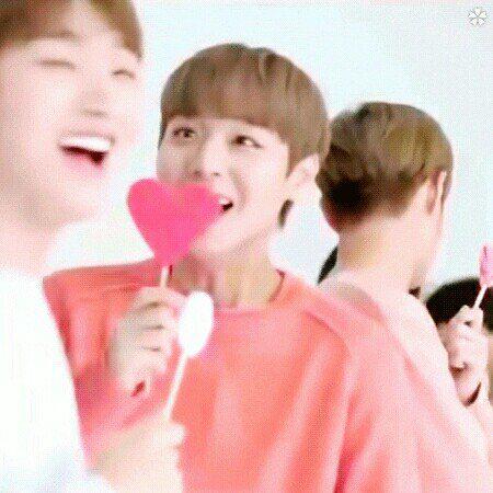 참새짹짹@'^'@ 프로필