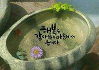 아기미피 프로필
