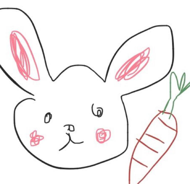 다영찌누 프로필
