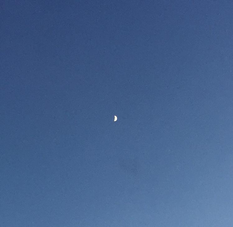 몽뉴나 프로필