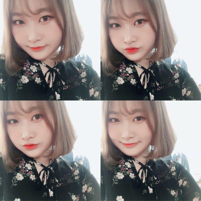 미오미아 프로필