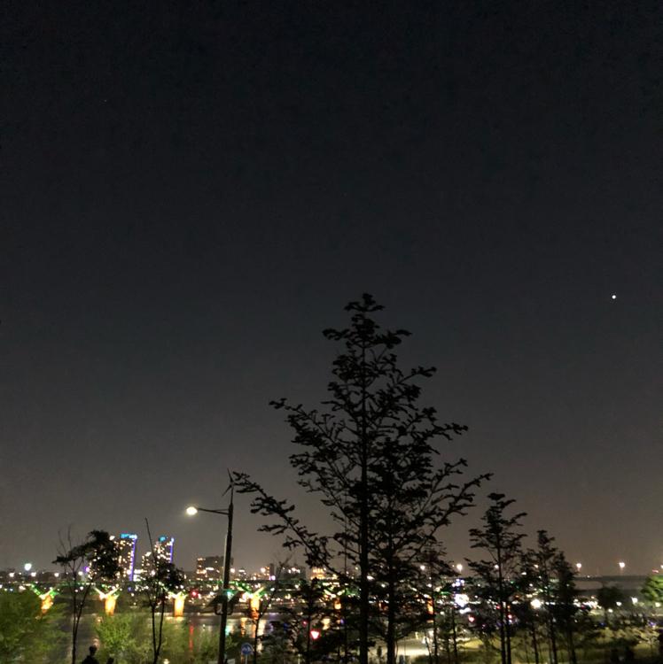 지소이 프로필