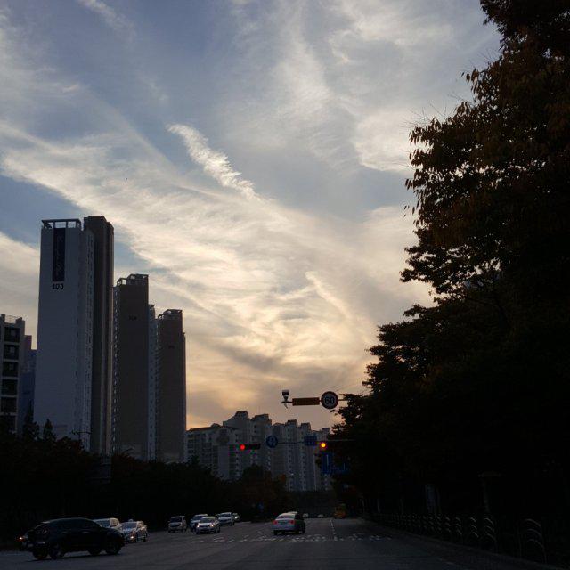 요디닝히히 프로필