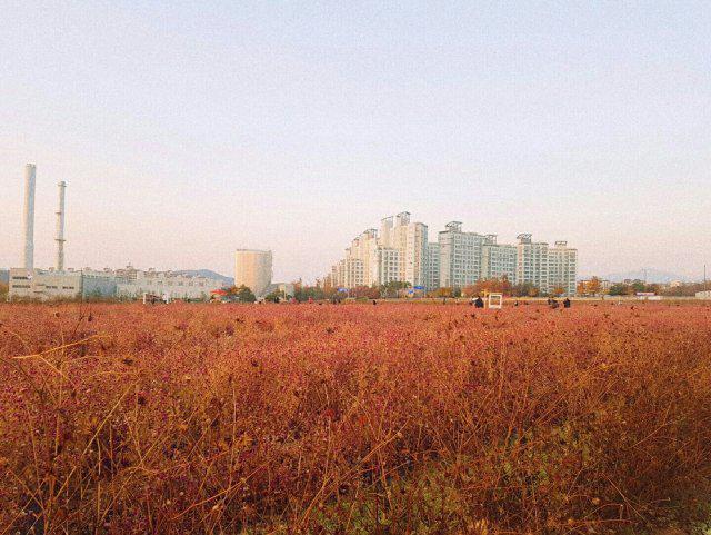 리뷰어 프로필