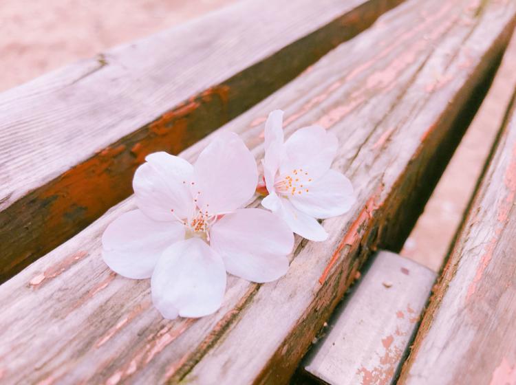예은1201 프로필
