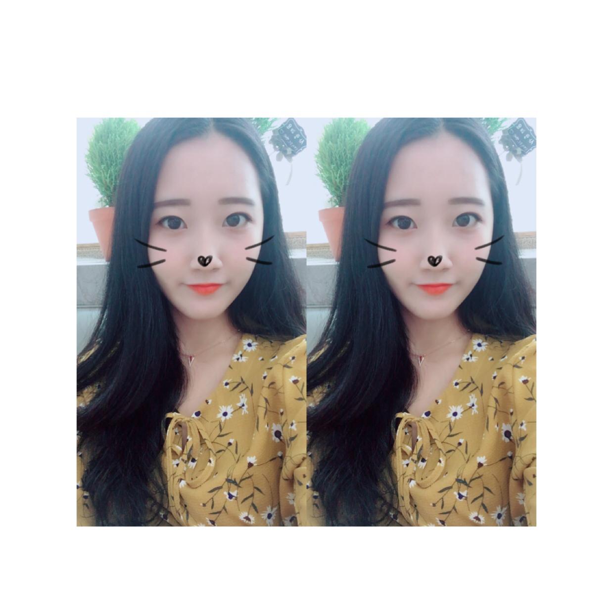 꼼수지 프로필