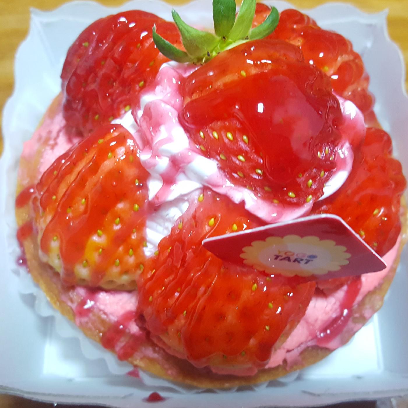 참치홍 프로필