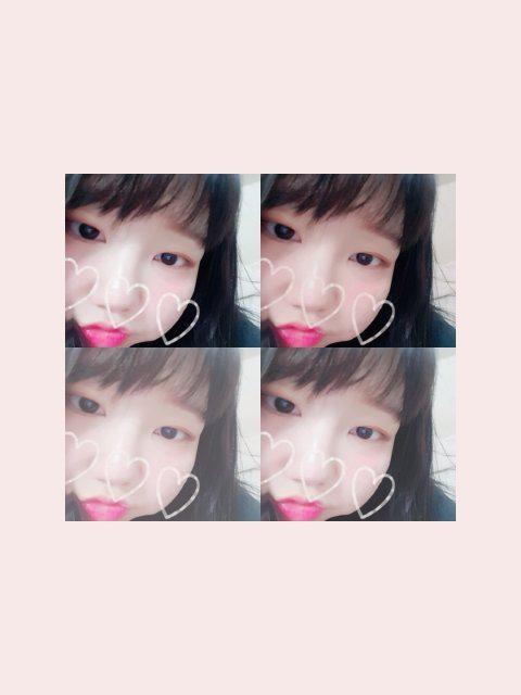 발등미인 프로필