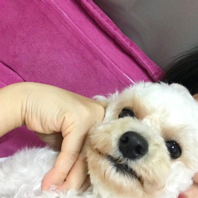 몽이언닠 프로필